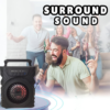 G301 Portable Bluetooth Speaker