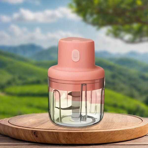 Portable vegetables electric chopper