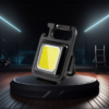 Cobb lights