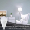 Surya rechareable bulb