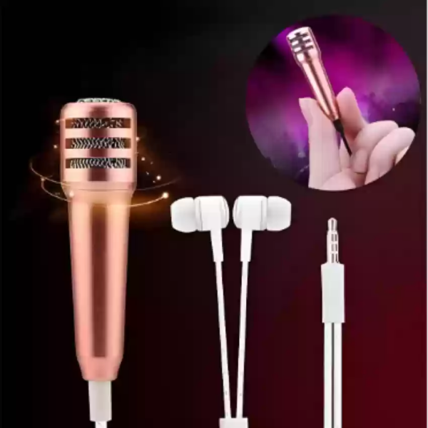 Singing Mic