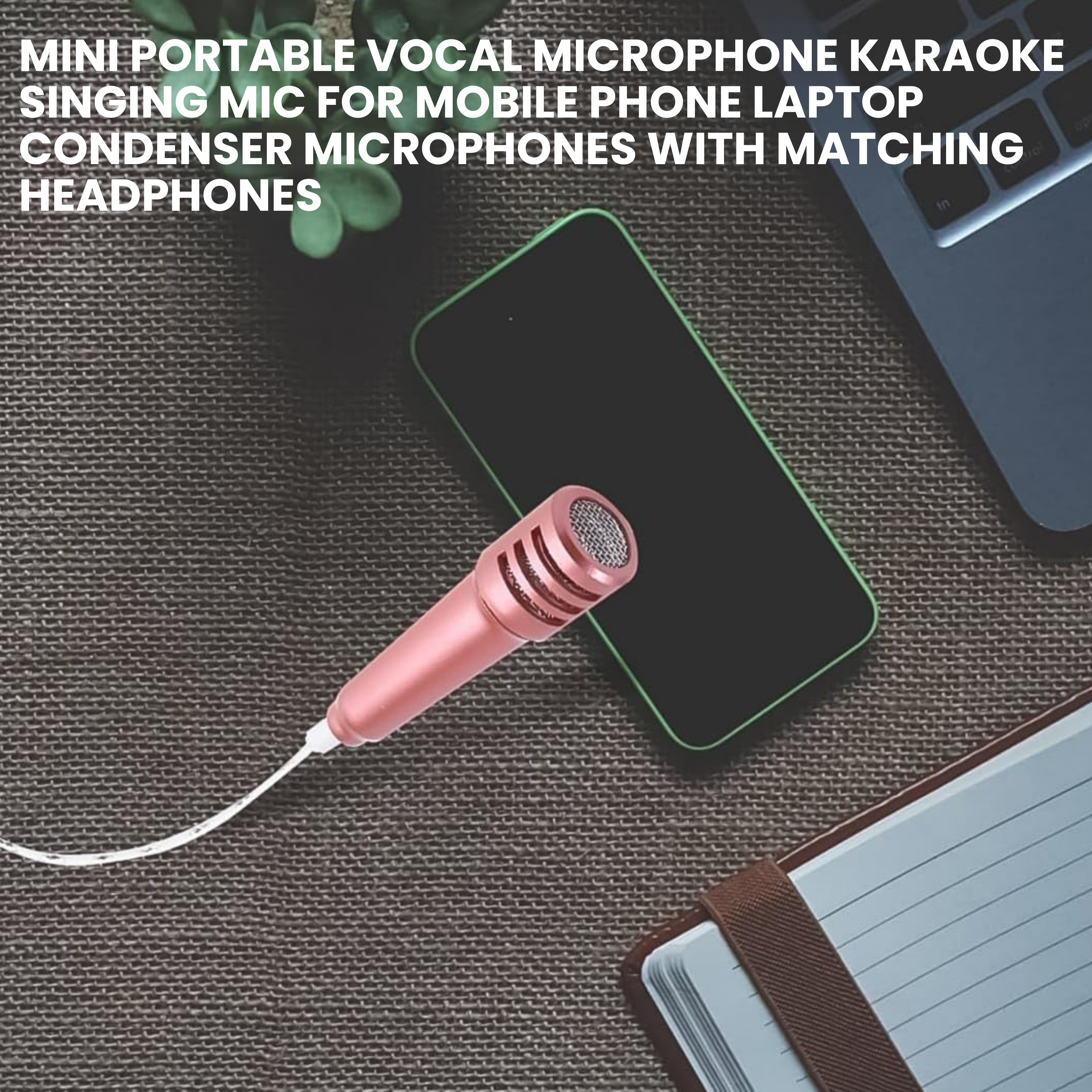 singing mic for c type devices