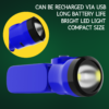 onlite dodo torch