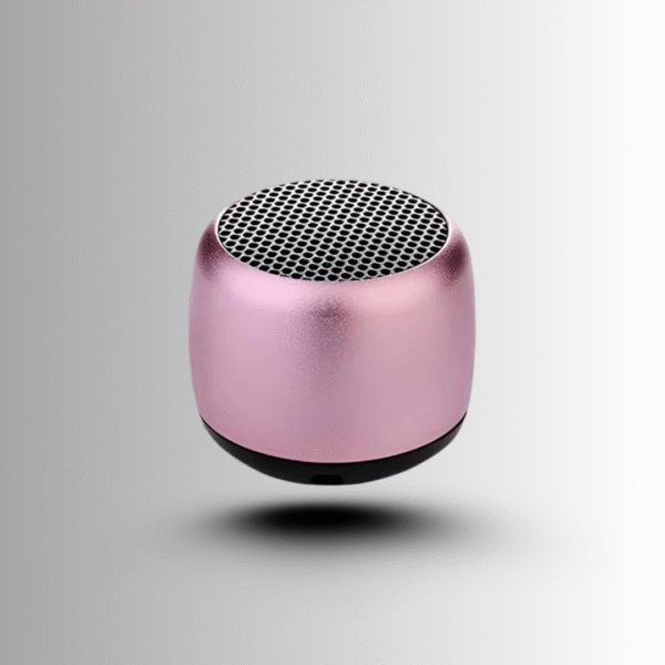 Coin Speaker