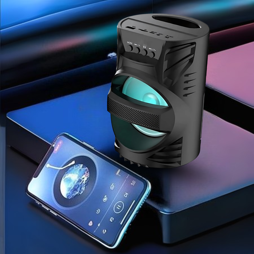 LZ4103 Mini Karaoke Speaker With Mic Online in