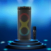 A1 party speaker