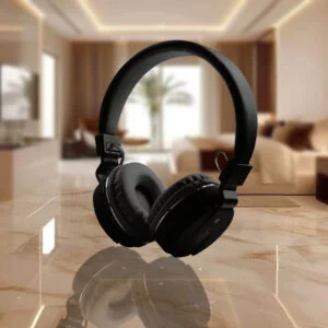 SH12 Headphone with mic