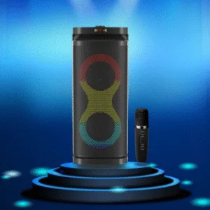 A1 party speaker